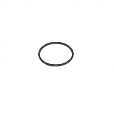 Picture of Gasket - Fits Rv25