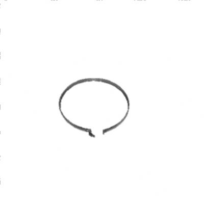 Picture of Ring Assembly