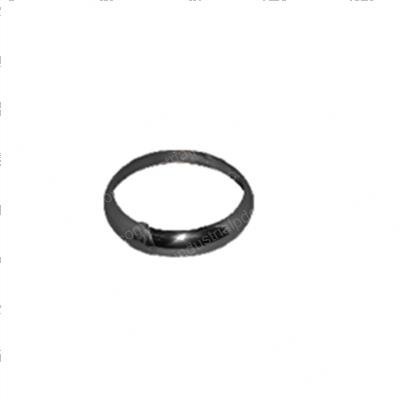 Picture of Ring Assembly
