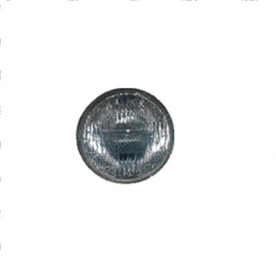 Picture of Lamp - Clear - Fog