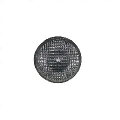 Picture of Lamp - Clear - Flood