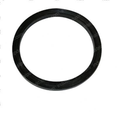 Picture of Ring - V Packing