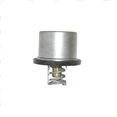 Picture of Thermostat