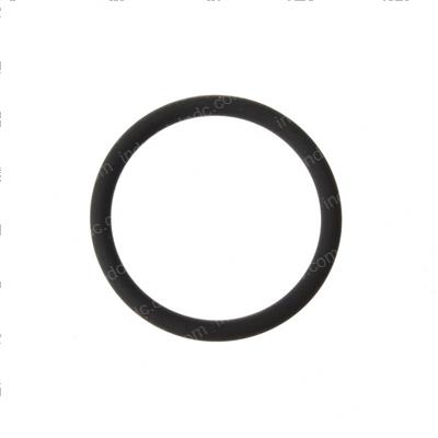Picture of O-Ring