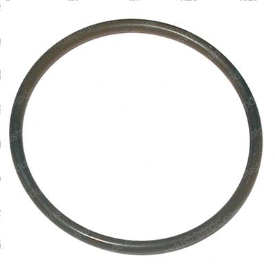 Picture of O-Ring