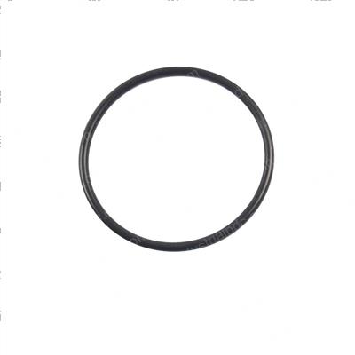 Picture of O-Ring