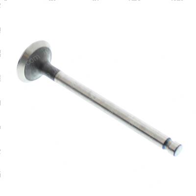Picture of Valve - Exhaust