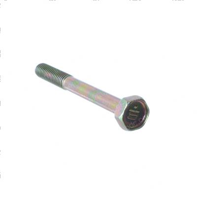 Picture of Bolt
