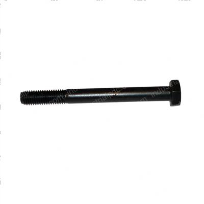Picture of Bolt