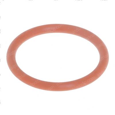 Picture of O-Ring