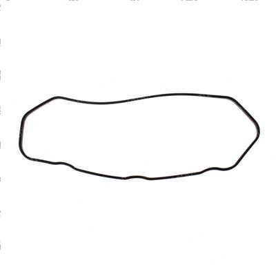 Picture of Gasket