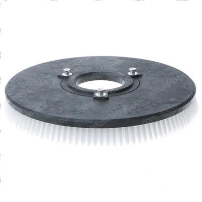 Picture of Poly Scrub Brush - Fang 20-20t