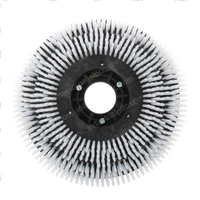 Picture of 20 in Brush