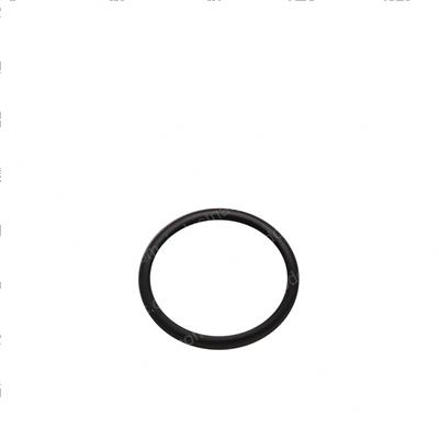 Picture of O-Ring