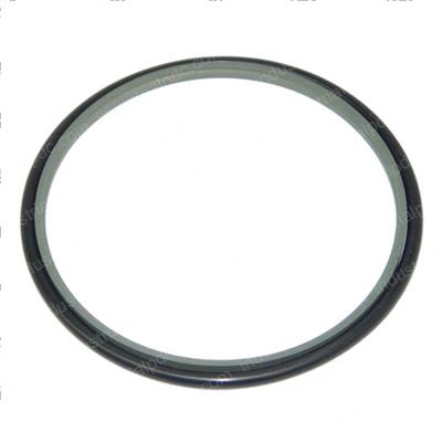 Picture of Seal - Composite