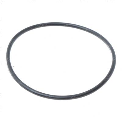 Picture of O-Ring