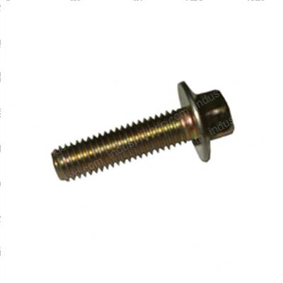 Picture of Capscrew