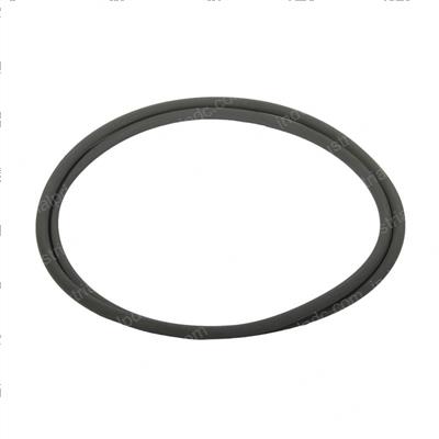 Picture of O-Ring