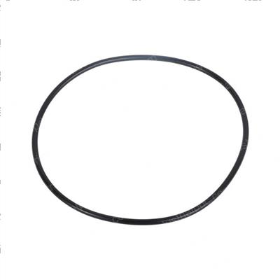 Picture of O-Ring