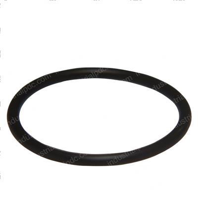 Picture of O-Ring