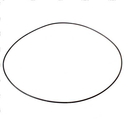 Picture of O-Ring