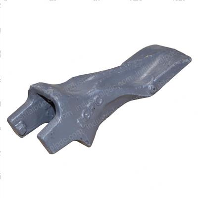 Picture of Tooth