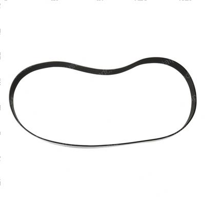 Picture of Belt - Serpentine