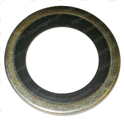Picture of O-Ring