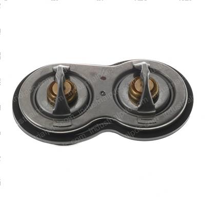 Picture of Water Thermostat