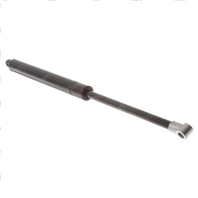 Picture of Spring - Gas