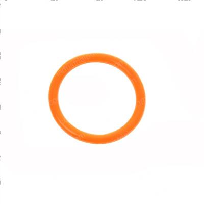 Picture of O-Ring