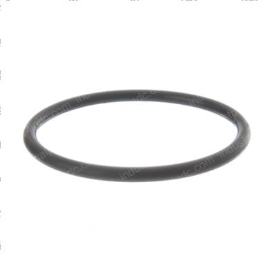 Picture of O-Ring