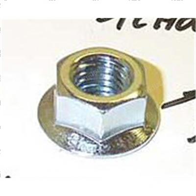 Picture of Nut