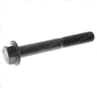 Picture of Bolt