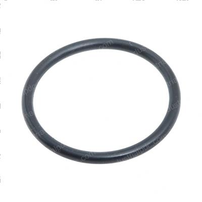 Picture of O Ring