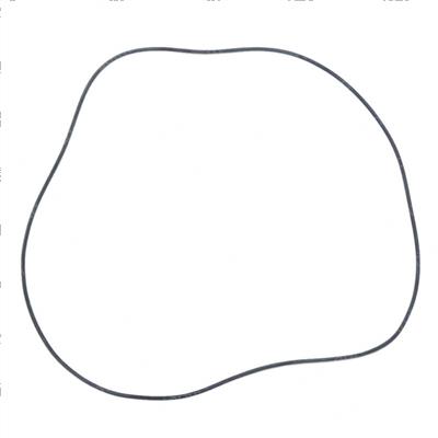 Picture of O Ring