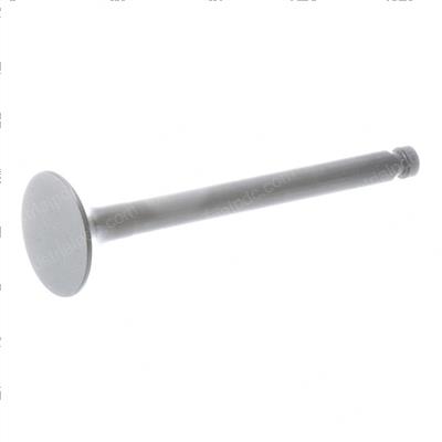Picture of Valve, Exhaust