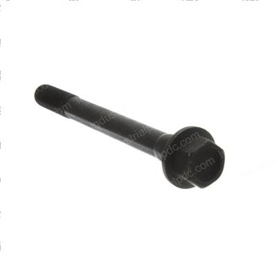 Picture of Bolt