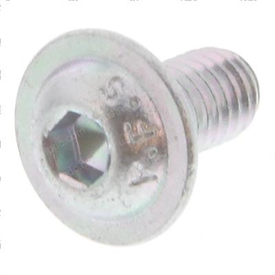 Picture of Screw