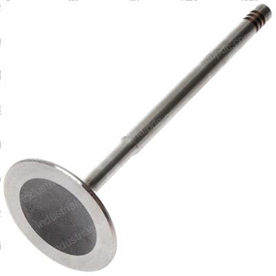 Picture of Valve-Intake