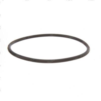 Picture of O-Ring