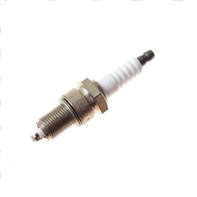 Picture of Plug - Spark