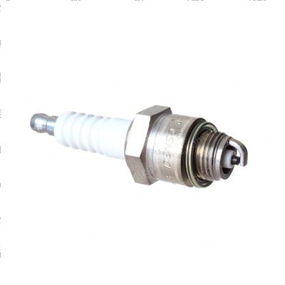 Picture of Plug - Spark