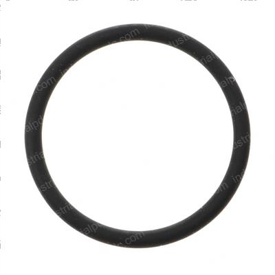 Picture of O-Ring