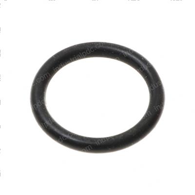 Picture of O-Ring