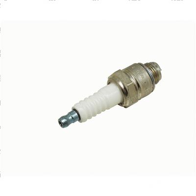 Picture of Plug - Spark