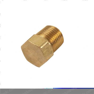 Picture of Plug