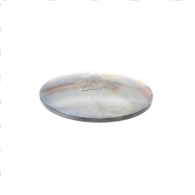 Picture of Plug - Freeze 2-1/8
