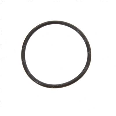 Picture of O-Ring
