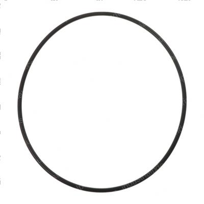 Picture of O-Ring